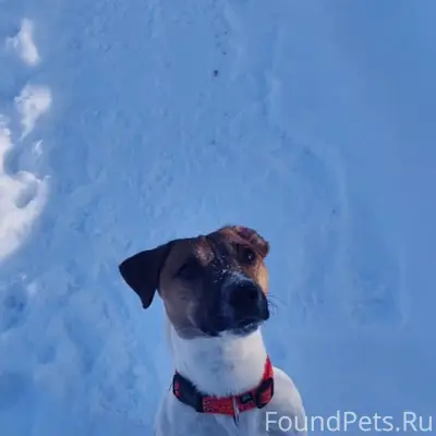 Сегодня, 08.02 в районе Гжели....