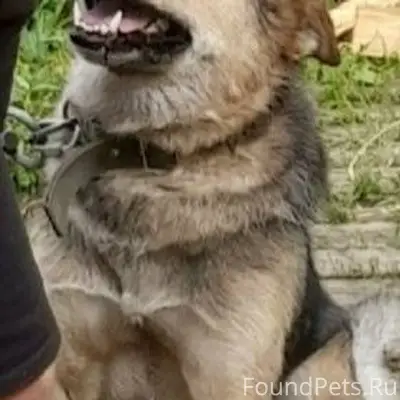 Админ, опубликуй пожалуйста 🙏 ...