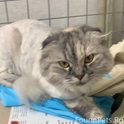 Всем добрый день! ПОМОГИТЕ НАЙ...