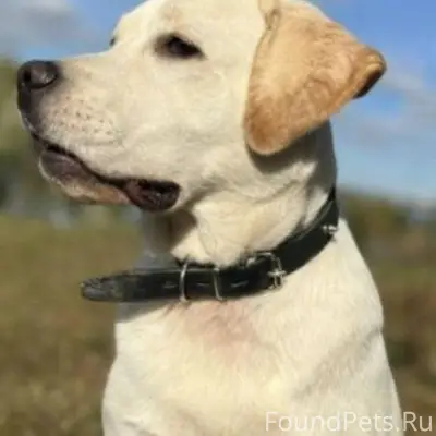 Внимание❗г. Владимир! 10 февра...