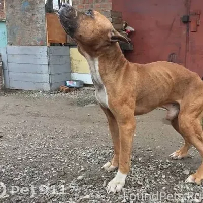 Помогаю информационно!!! В рай...