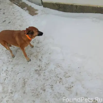 На Ленина 49 со стороны пятëро...