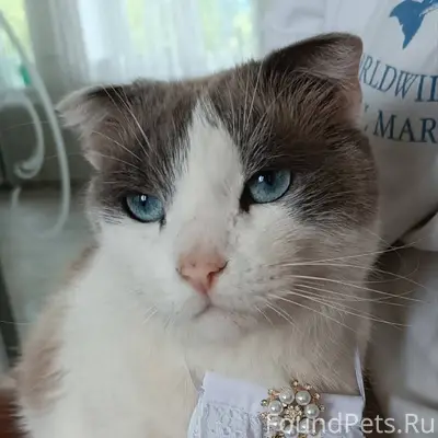 🙏Не теряем надежды найти своег...