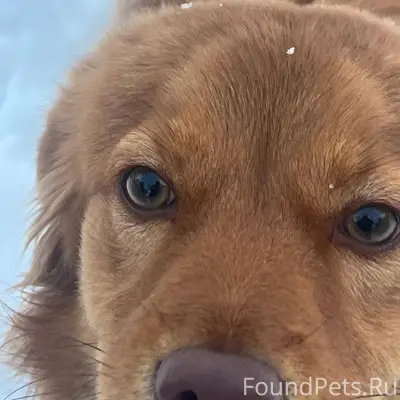 Пожалуйста🙏🙏🙏 максимальный реп...