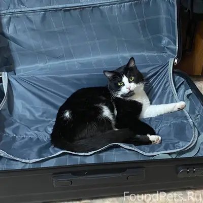 ‼️ В понедельник (09.02.26г...