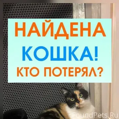 ‼️‼️‼️ВНИМАНИЕ!‼️‼️‼️ Помогаю ...