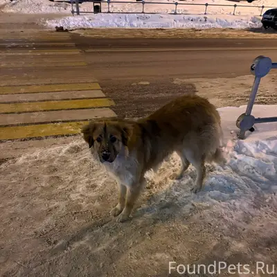 [id161472006|Катя Бахтина] Мос...