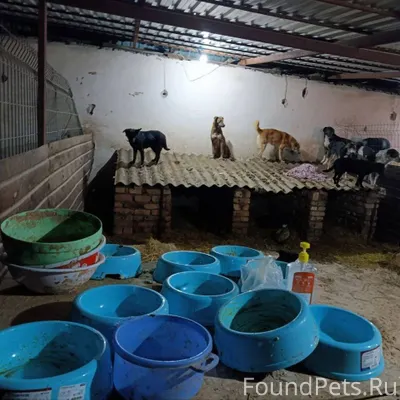 Мы просто в шоке.. За ночь...