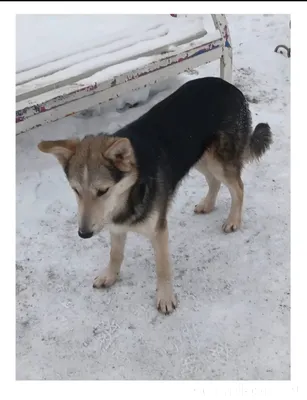 Очень нужен дом парнишке🏡!!!!!...