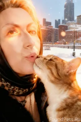 Как же больно терять своего пи...