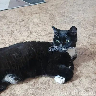 Всем доброго времени суток! 6 ...