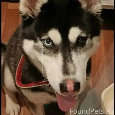 Помогаю информационно 🆘🆘🆘🆘‼️‼️...