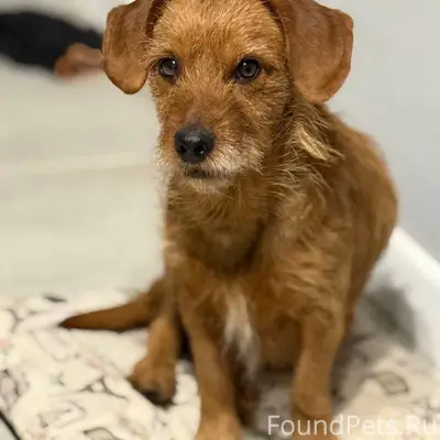 Анонимно! Доброе утро! Найдена...