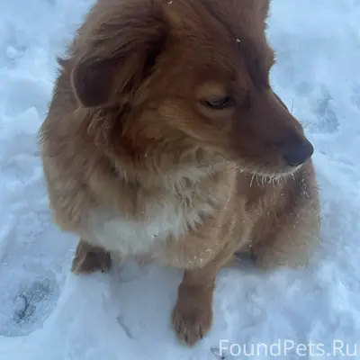 Пожалуйста🙏🙏🙏 максимальный реп...