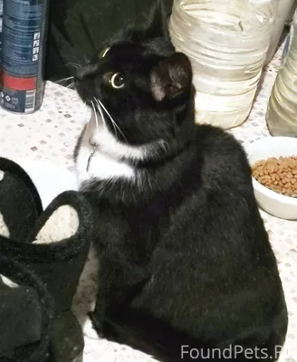 СНТ Мулянский Бережок-2. Найде...