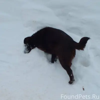 Здравствуйте! Сейчас в районе ...