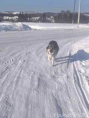 Пожалуйста разместите! Добрый ...