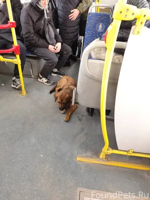 А районе Остановки Богдановка ...