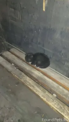 Вчера на остановке Инфекционна...