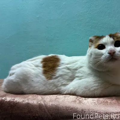 🏠🏠🏠ХОЧУ ДОМОЙ🏠🏠🏠 Весна - уника...