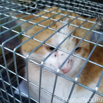 На пересечении Шило и Пархомен...