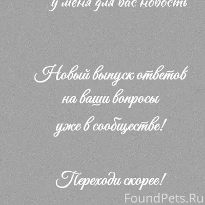 Привет, друзья✨✨✨ Сегодня в ра...