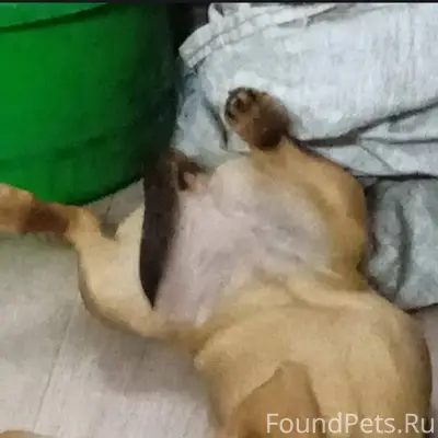 Здравствуйте уважаемые участни...