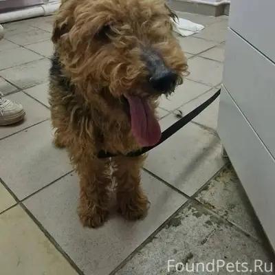 Московская Область! Подольск! ...