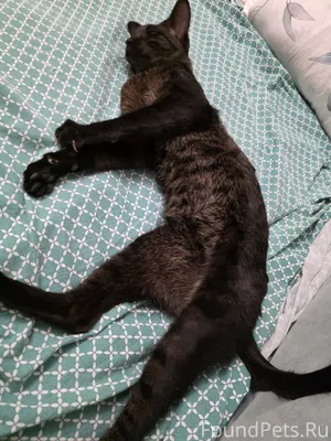 🔴🔴🔴Друзья, добрые люди, вдруг ...