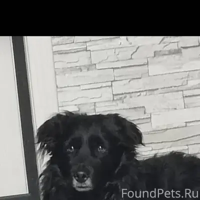 Уважаемые жители мк ДОК. Потер...