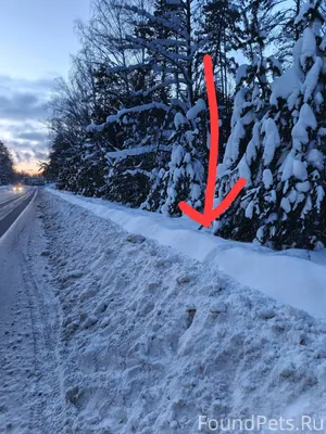 #Калужская_область 31 января н...