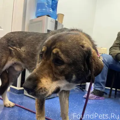 Помогите найти 🙏 01.02.26...