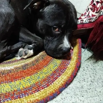 #помогаем_информационно Найден...