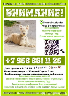 📍 ул. 3-я Механическая, Первом...