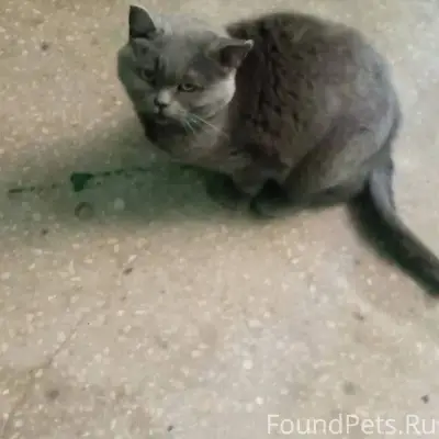 02.02.2026 17:46 🆘🆘🆘...