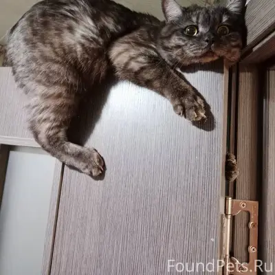 ❗❗❗ВНИМАНИЕ ❗❗❗ 02.02.2026 утр...