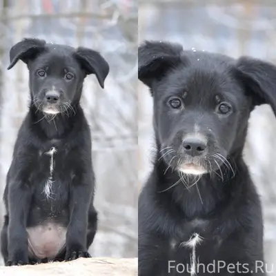 Ребята ровно год назад была на...