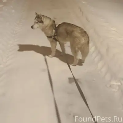 Помогите найти!!! 🙏🙏🙏 Сегодня ...