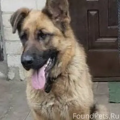 🆘 Помогите найти 🆘 📍Белгород🏡 ...