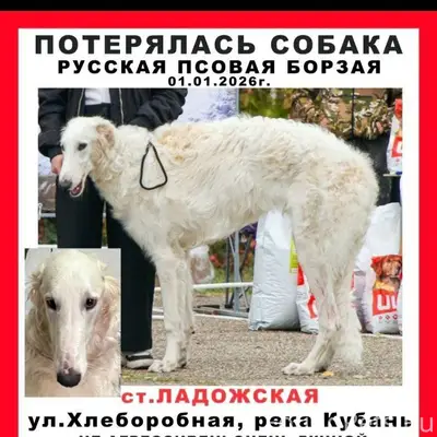 Будем благодарны за публикацию...