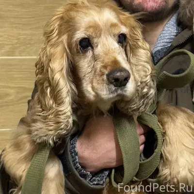 Иркутск, ЖК Стрижи 31.01.2026....