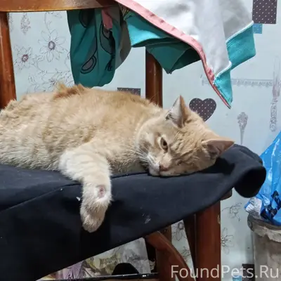 Здравствуйте, вчера (01.02.202...