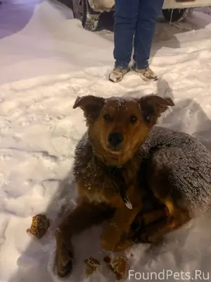 Доброе утро! Опубликуйте пожал...