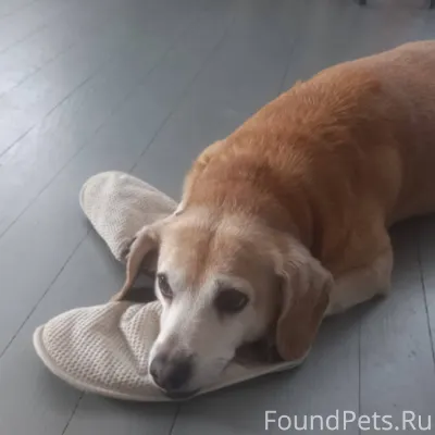 📍ул. Молодежная, с. Толмачево ...