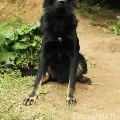 ПРОПАЛ ЛЮБИМЫЙ МАЛЬЧИК