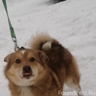 Уважаемые друзья! Прошу максим...