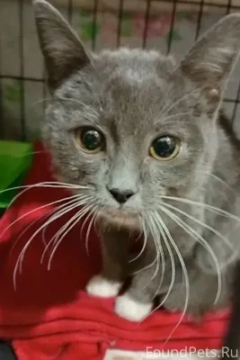 У 9 дома по Пролетарской набер...