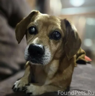 Вечером 19 февраля 2026 года в...