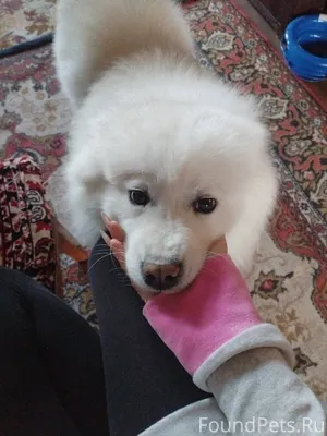 СРОЧНО ❗❗❗ Уважаемые жители ра...