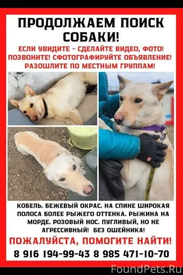 Поиск продолжается. Пожалуйста...